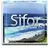 Sifor