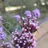 emmarice22