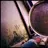 In-the-Viewfinder