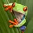 Fstop-