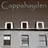 Cappahayden