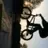 freedomphoto