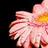 ShotwellPhotography