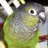 ShutterBird