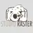 studioraster