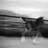 tarnia_k
