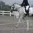 mom.of.many.horses
