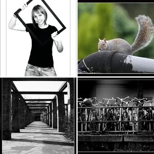 Becky's Gallery