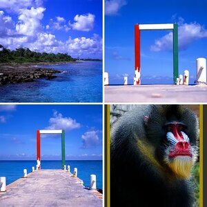 LilCujo's Gallery