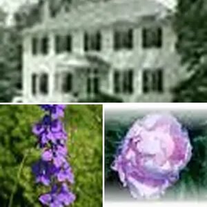 miltphoto's Gallery