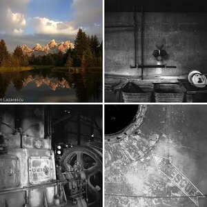 Mitica100's Gallery
