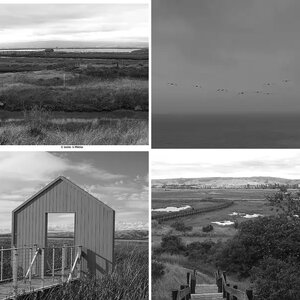 Landscapes