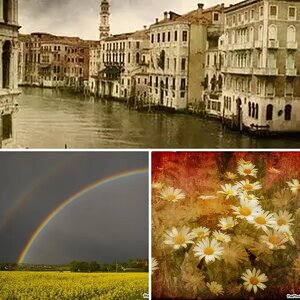 My Photos