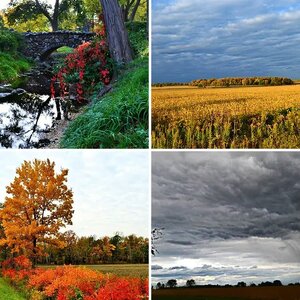 Seasonal Photos