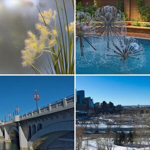 Around Downtown