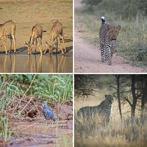 Kruger National Park 2007-2014