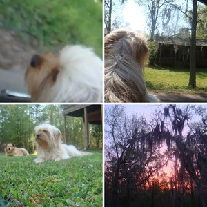 Remembering Spencer Sept 2011-Dec2014