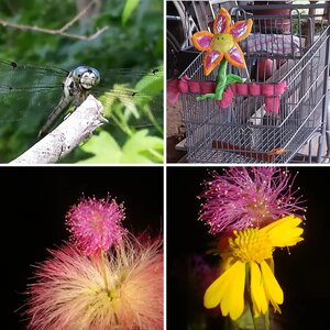 Part II of "Flower Me A While But Dont Bug Me