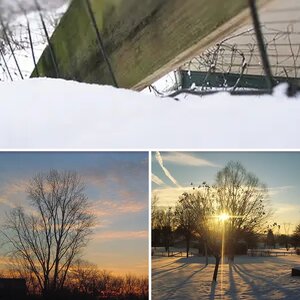 Morning photos
