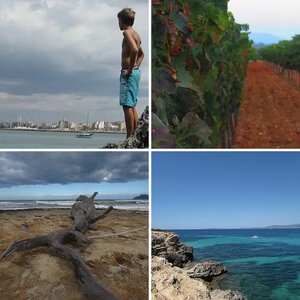 Landscapes