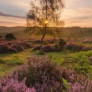 England