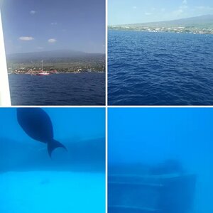 My Hawai'i trip