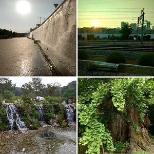 Korea Trip~