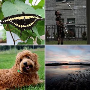 Griffin's Album