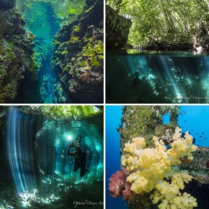 A few Underwater photos