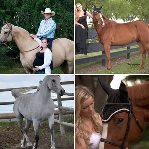 Equine