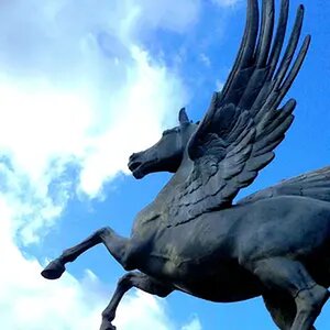 Pegasus