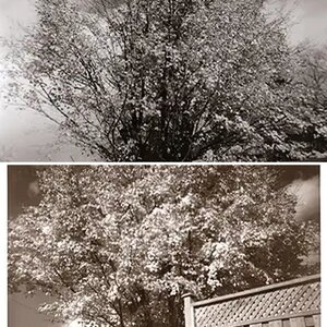 Pictorialism