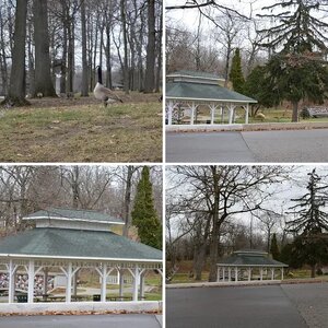 Veterans Park