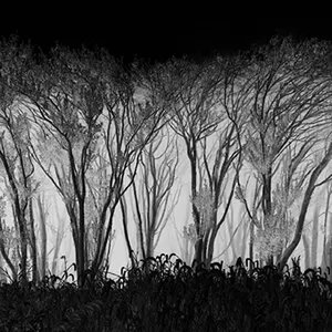 Exploration with Light