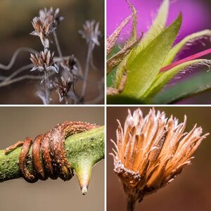 Beginner Macro
