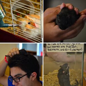 Zoology Club at School