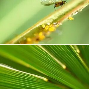 My first macro