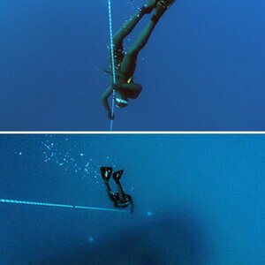 Freediving