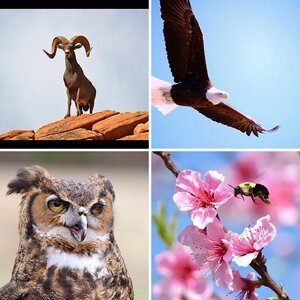 Photography of 2016