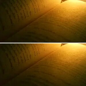 Reading