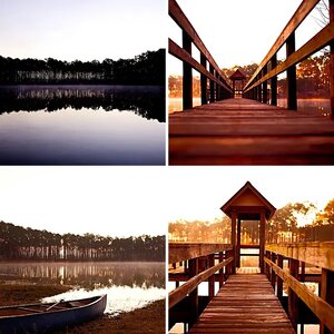 Natures Beauty