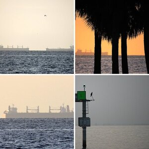 Sunrise Tampa Bay