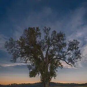 Landscapes