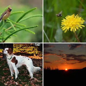 Some of My Better Photos
