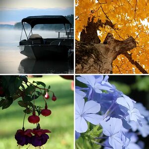 Nature and Landscapes