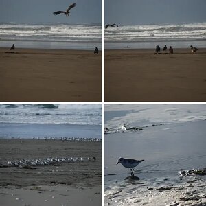 Photos Pacific Ocean