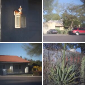 TWX's pinhole photos