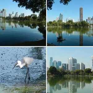 Expat Worldwide Photos
