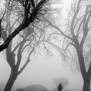 Foggy Morning Run