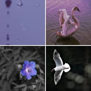 Latest uploads